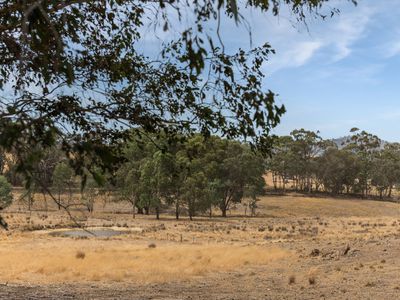 565 Dairy Flat Road, Heathcote