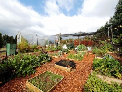 58 Chittys Road, Franklin