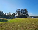 39 Woolybutt Way, Muswellbrook