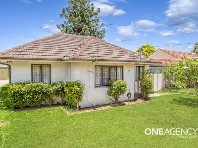 7 Buddleia St, Inala