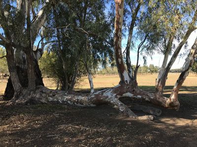32 Aherns Road, Myall
