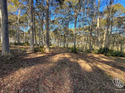 Lot 16, Mystery Bay Road, Mystery Bay