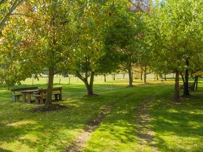 523 Howes Creek-Goughs Bay Road, Goughs Bay