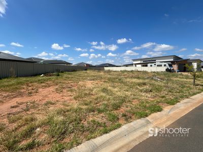 31 Tweed Place, Dubbo