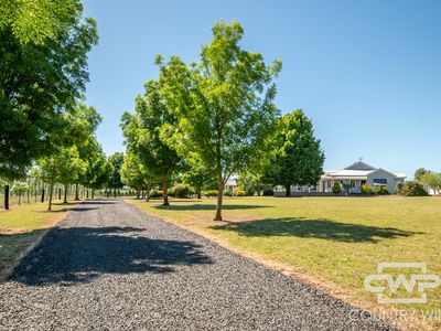 74 East Pandora Road, Glen Innes