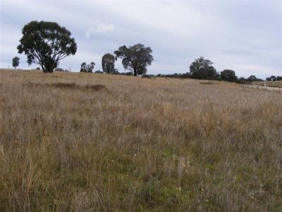 48 Cobb Way, Woodstock