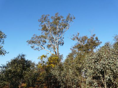 370 Quarry- Dookie Road, Dookie