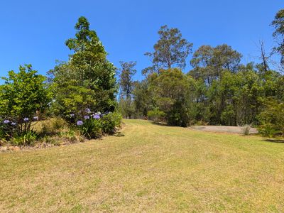 115 Gulph Creek Road, Nerrigundah