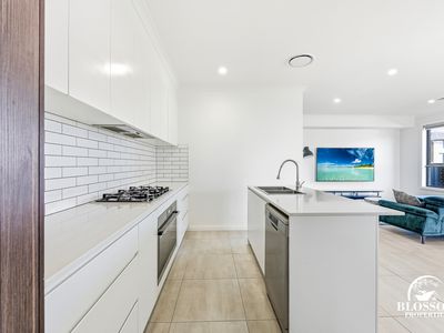 16 Planthopper Street, Marsden Park