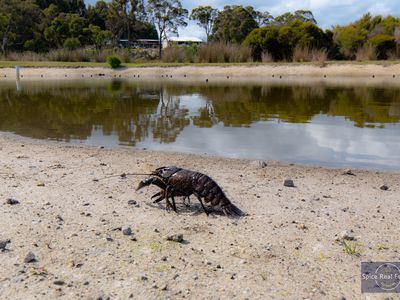 126 Bidewell Road, Kordabup