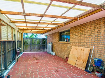42 Ibis Boulevard, Eli Waters