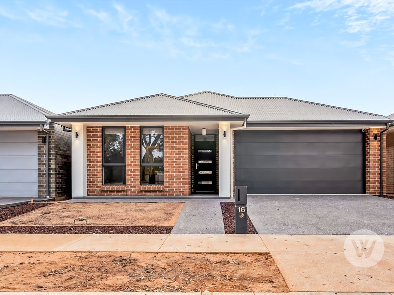 16 Lobelia Avenue, Andrews Farm