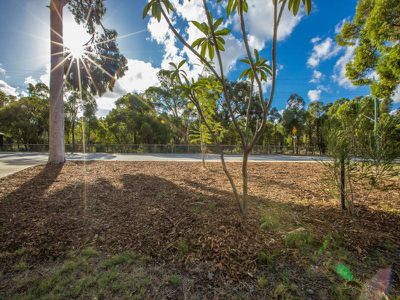 40 Williams Road, Armadale