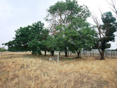 Londrigan-Tarrawingee Road, Londrigan
