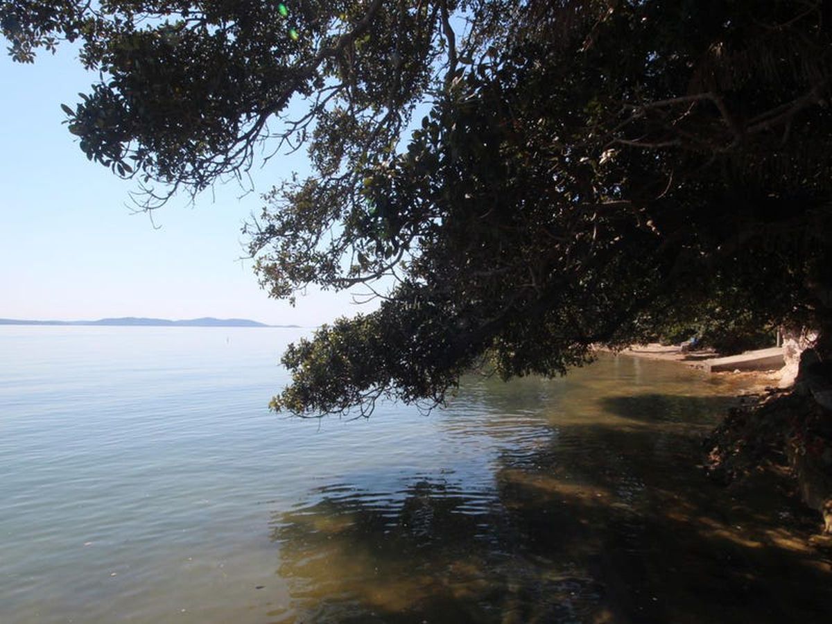9 Caswell Crescent, Tanilba Bay, Tanilba Bay - Thumbnail 4