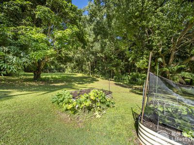 3 Coolamon Avenue, Mullumbimby