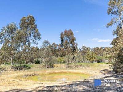 1 Burrows Lane, Dunolly