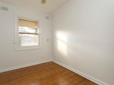 11 Bristol Avenue, Camden Park