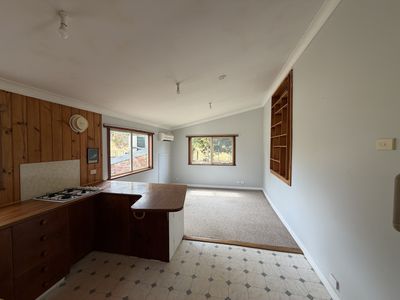 16817 Bass Highway, Flowerdale