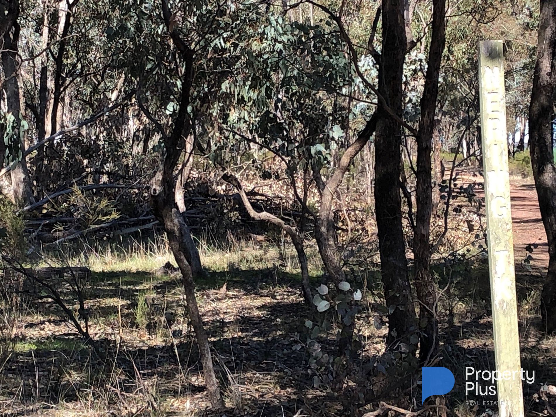 Lot 18 & 19, Derby Road, Campbells Forest