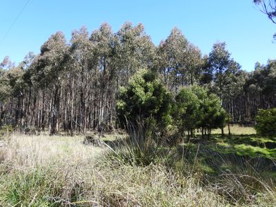 Lot 2140066, 2140066 Hop Valley Road, Blackwood Creek