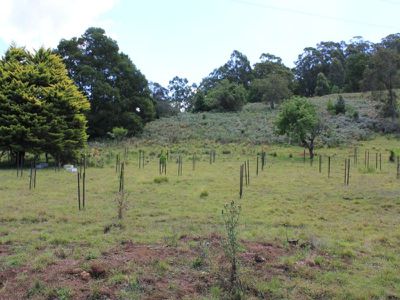 1730 Nowra Road, Kangaroo Valley