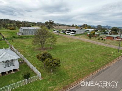 44 Learmonth Street, Willow Tree