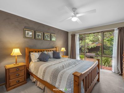 13 Hovell Court, Cranbourne