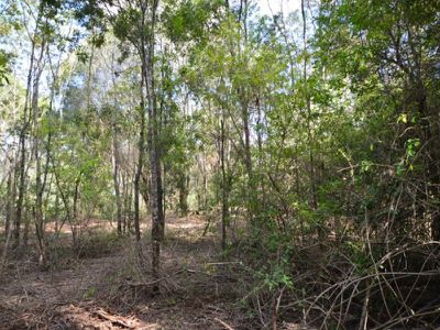 312 Booloumba Creek Road, Cambroon