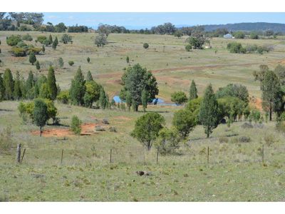 1817 Wandobah Road, Gunnedah