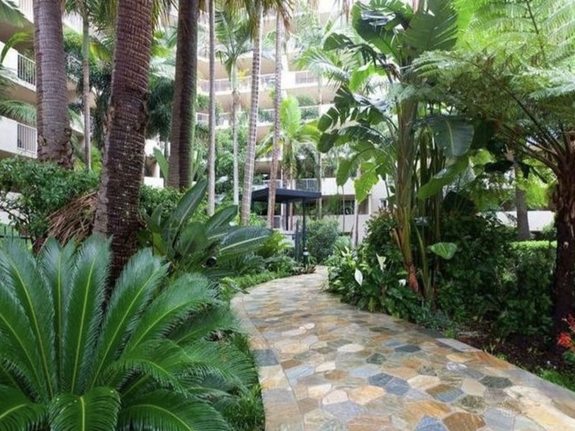 43 / 586 ANN STREET, Fortitude Valley