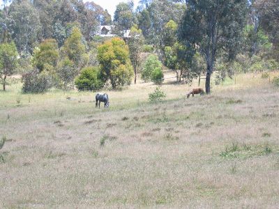 196 KUHLEMANS TRACK, Heathcote