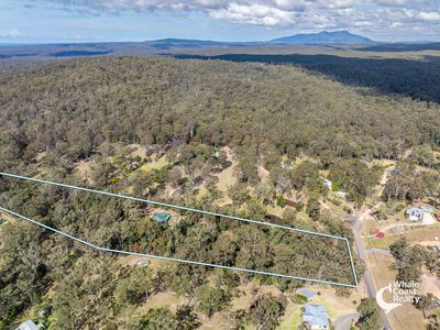 45 Lyrebird Place, Bodalla