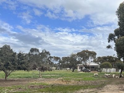 Lot 17,  45 Penny Street, Kauring