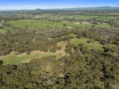 310 Dockerys Road, Tallarook