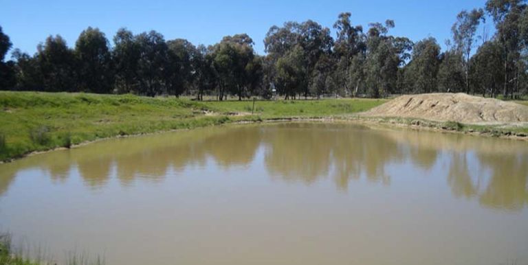 28 Hoskin Lane, Violet Town
