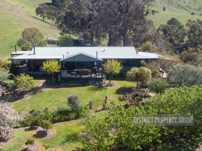Bonnie Doon