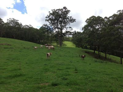 781 Upper Kangaroo River Rd, Kangaroo Valley