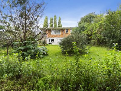 31 Robert Burke Place, Henderson