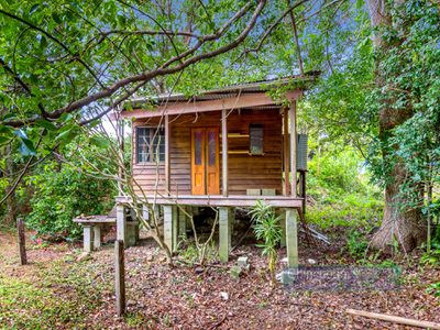 561 Left Bank Road, Mullumbimby Creek