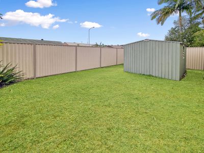 1 / 1 Echidna Court, Coombabah