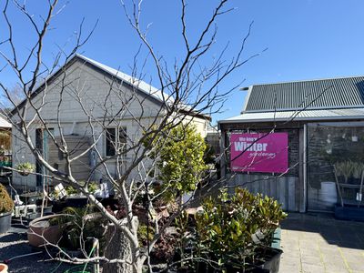 McCourts Garden Centre & McCourts Café, Millicent SA