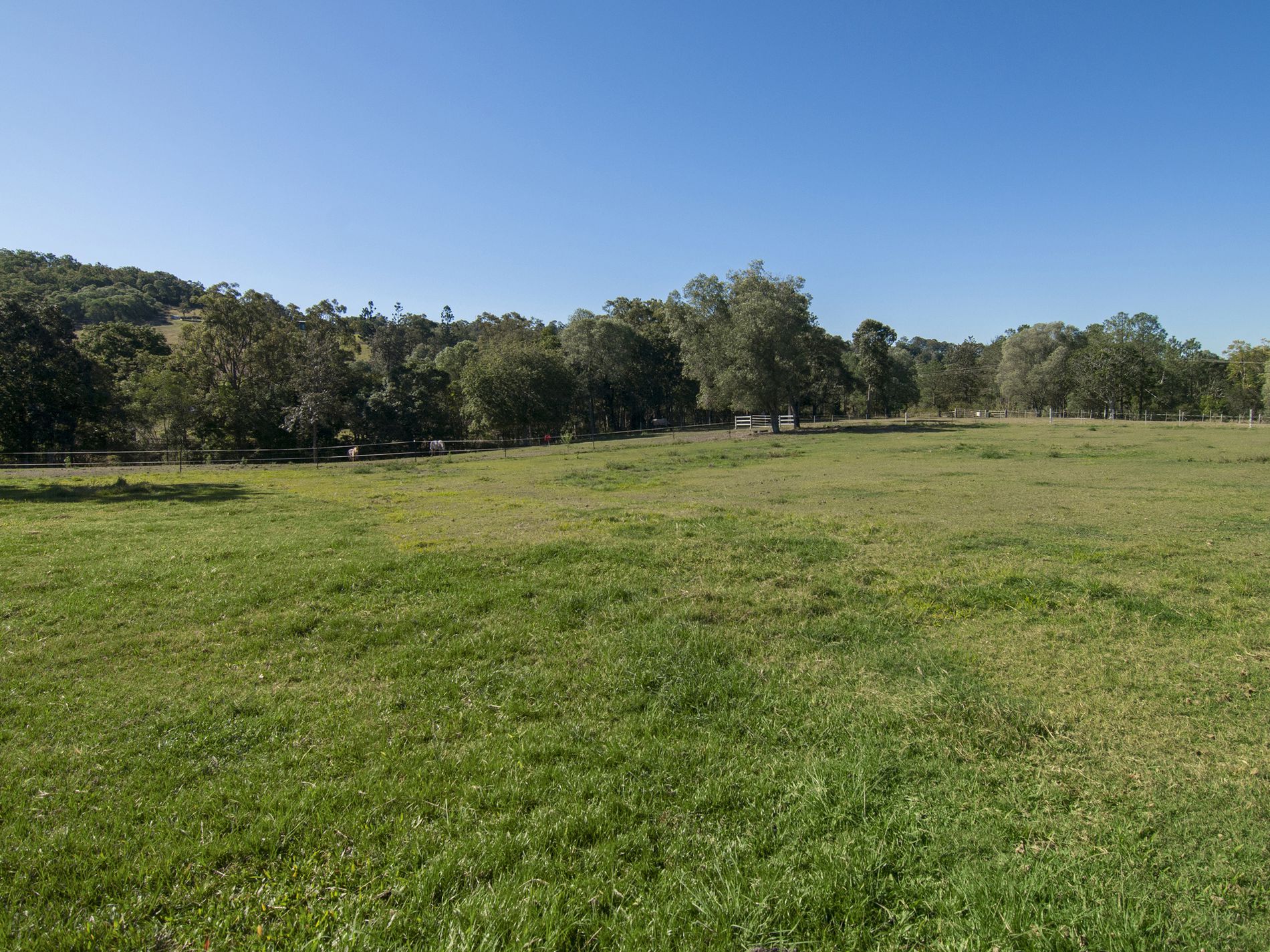 8 DALGLEISH ROAD, Ormeau Hills