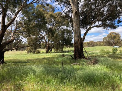 68 Richmond Plains-Wedderburn Road, Wedderburn