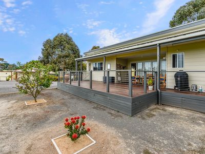 183 Williams Road, Millicent