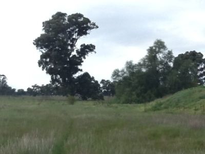 Humphreys Road, Rutherglen