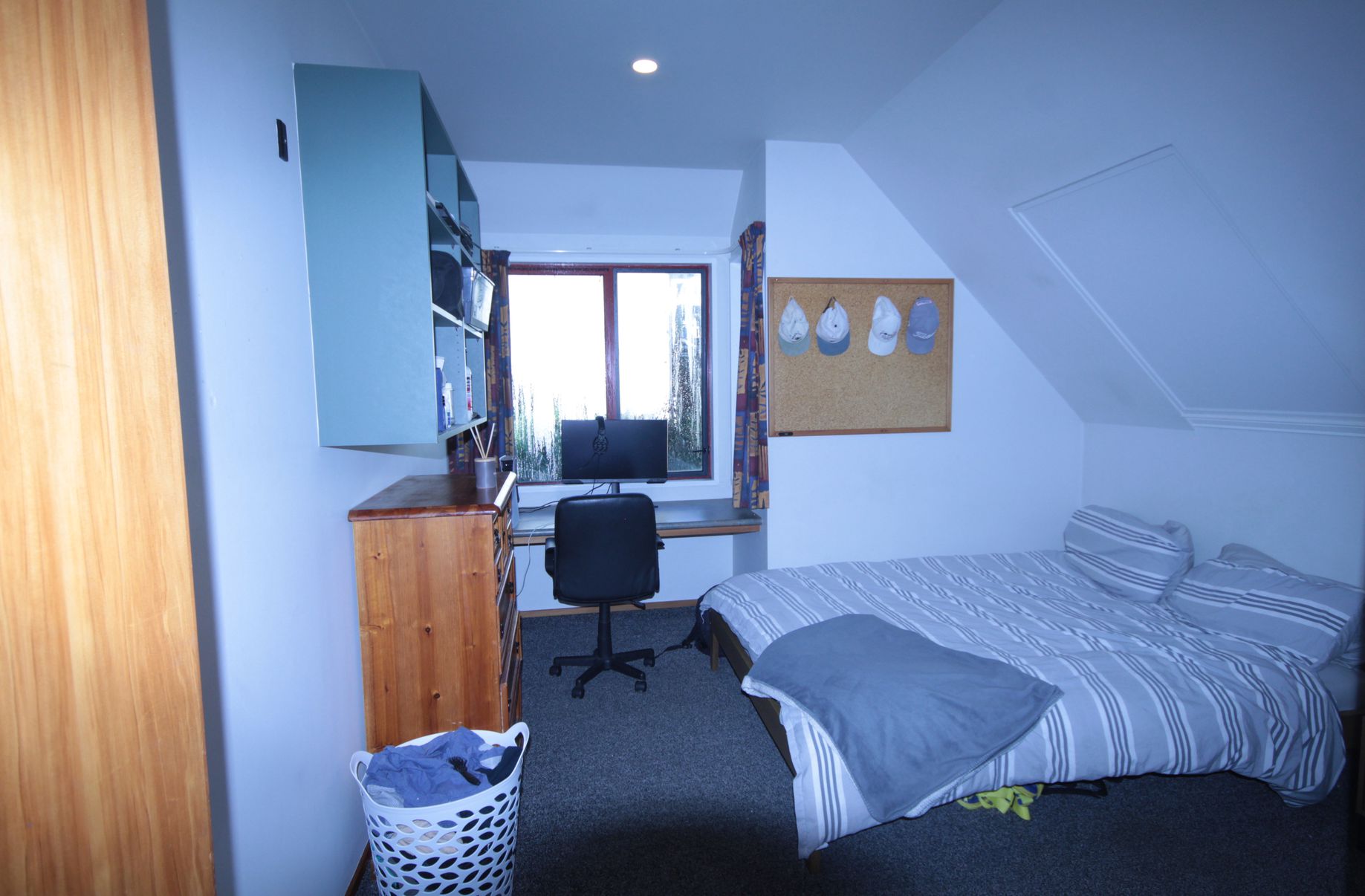 137 Harbour Terrace, North Dunedin
