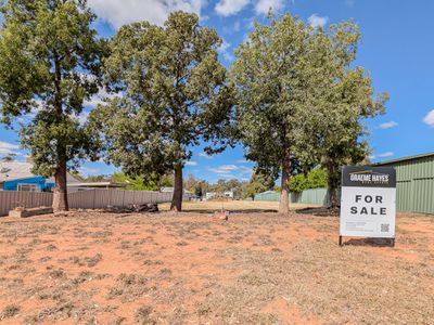 22 Malcolm Street, Nyah