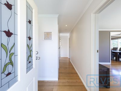 1 / 3 Normanby Street, Sydenham