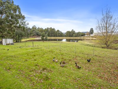 60 Crowthers Road, Castle Forbes Bay